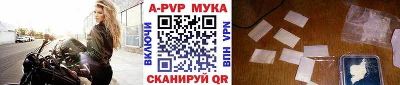 Alfa_PVP СК  Княгинино 