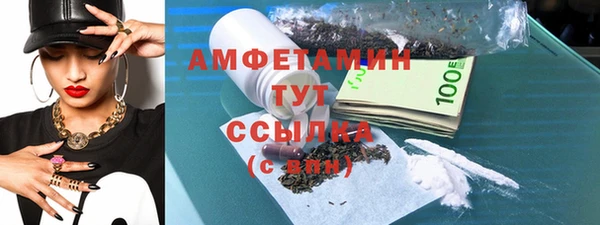 сатива Белокуриха