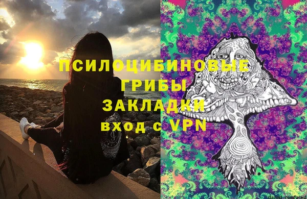 молекула духа Белоозёрский