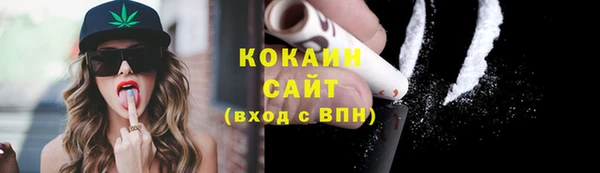 молекула духа Белоозёрский