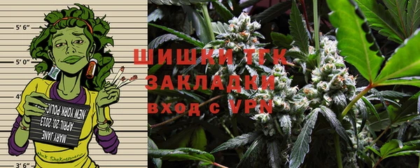 молекула духа Белоозёрский