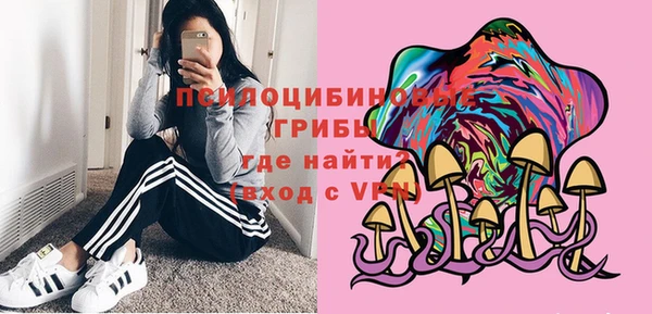 сатива Белокуриха