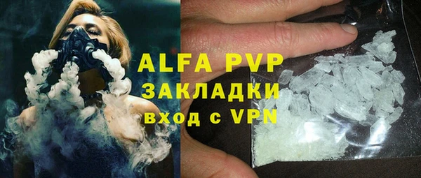 сатива Белокуриха