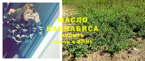 сатива Белокуриха