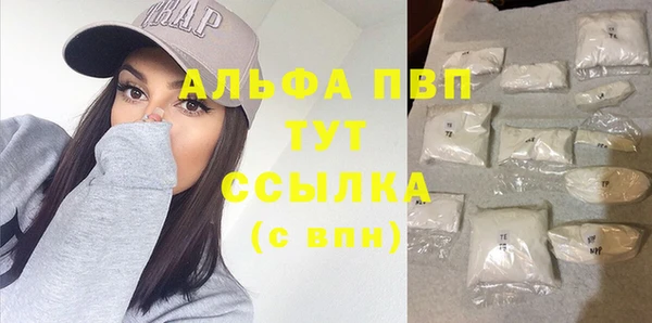 молекула духа Белоозёрский