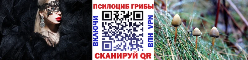 ссылка на мегу сайт  Княгинино  Галлюциногенные грибы прущие грибы 